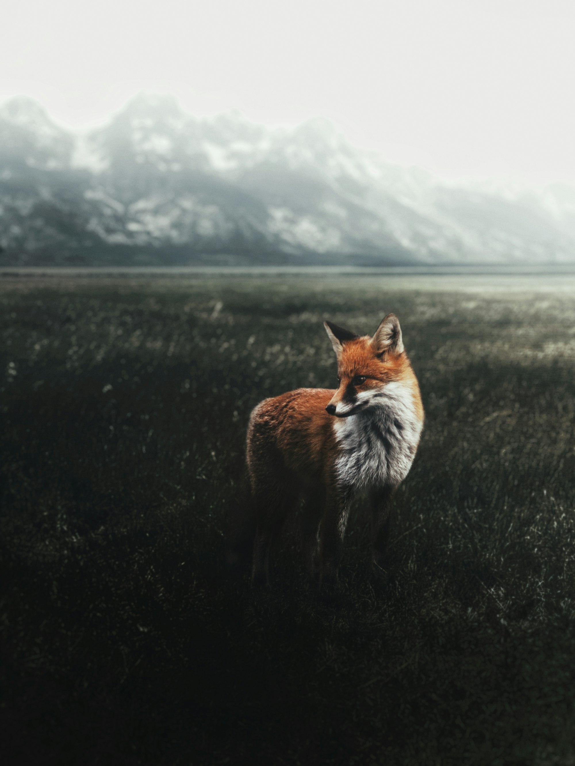 Fox of Light

Follow me on Instagram
www.instagram/Sr_kike_ 