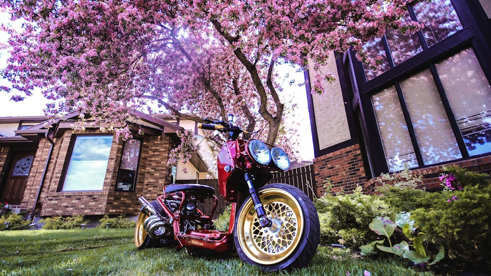 red and black motorcycle parked beside brown brick house