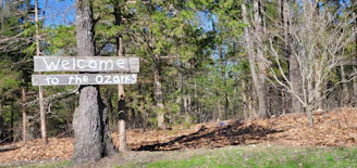 A wooden sign attached to a tree reads 'Welcome to the Ozarks' in clear white letters. The background features a forest landscape with a mix of greenery and brown leaves covering the ground. Sunlight filters through the trees, creating a mix of bright and shadowed areas.