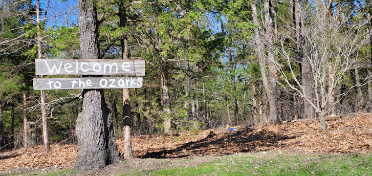 A wooden sign attached to a tree reads 'Welcome to the Ozarks' in clear white letters. The background features a forest landscape with a mix of greenery and brown leaves covering the ground. Sunlight filters through the trees, creating a mix of bright and shadowed areas.