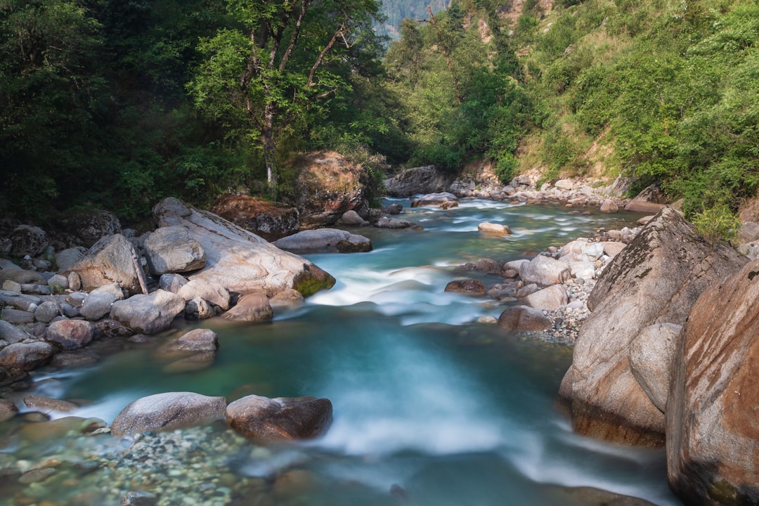 Mountain river photo spot Tirthan Valley Manali, Himachal Pradesh