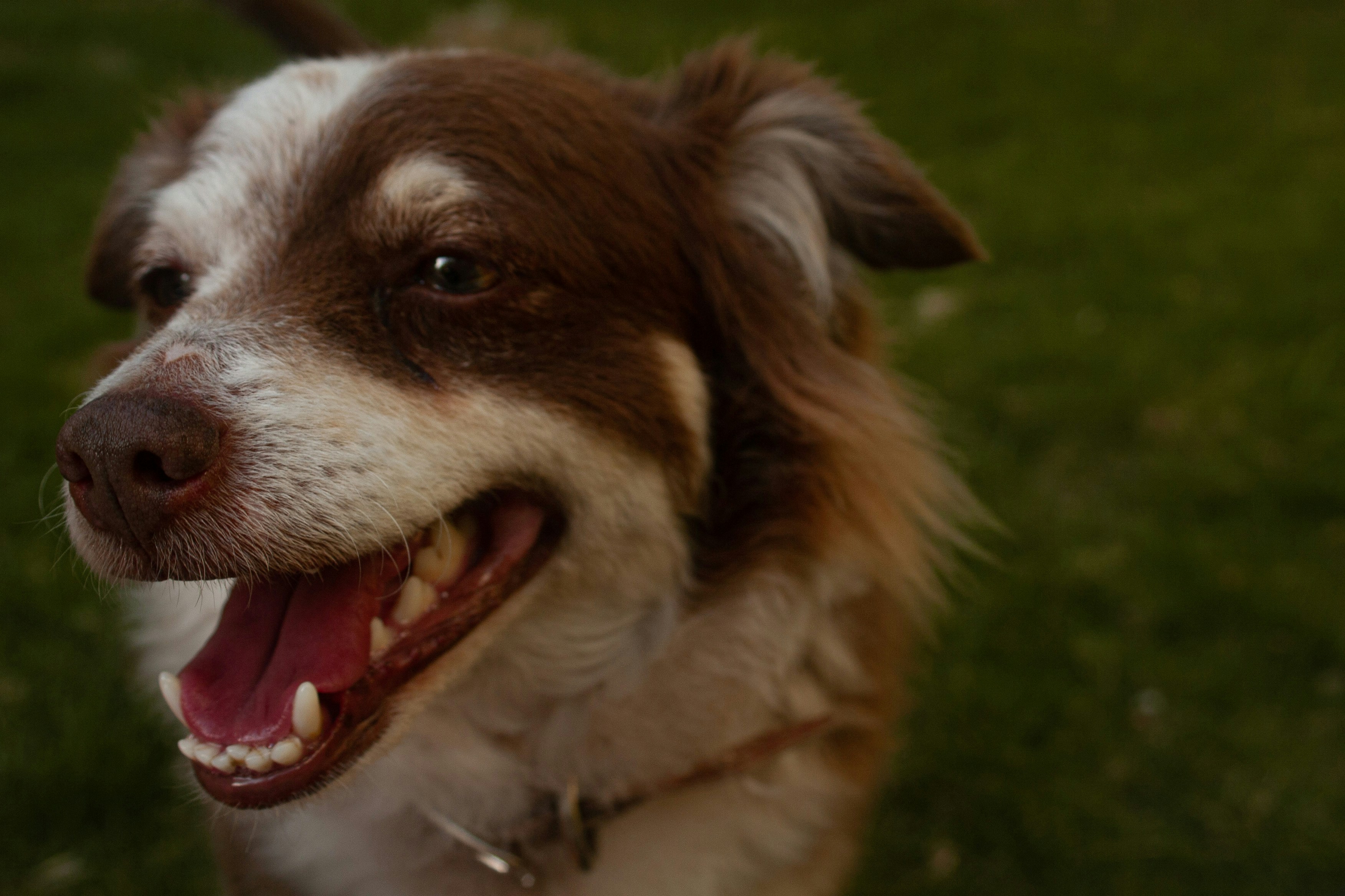 Photo by maybeimwealthy