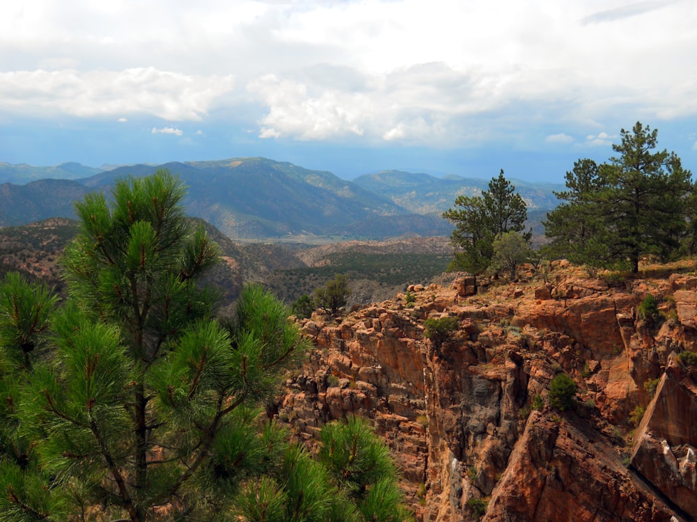 green trees on brown rocky mountain under white cloudy sky during daytime