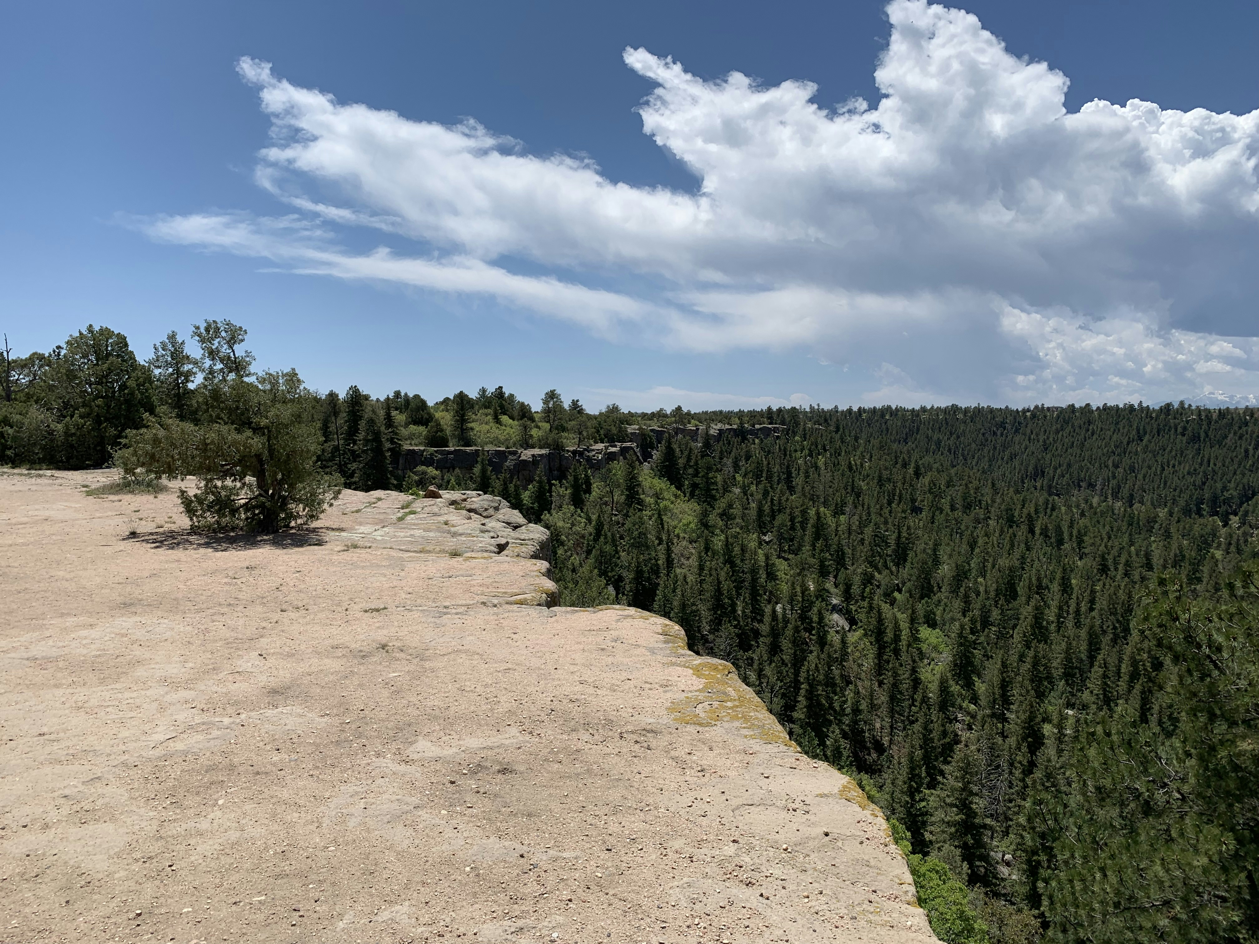 Scruggs Bridge Overlook Area