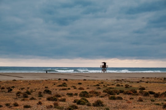 brown sand near body of water during daytime in Garrucha Spain