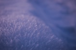 A close-up of frost or ice crystals in soft focus, characterized by their delicate and intricate patterns. The image is dominated by a cool and tranquil blue tone, conveying a sense of calm and stillness.