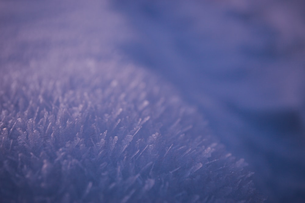 close up photo of blue textile