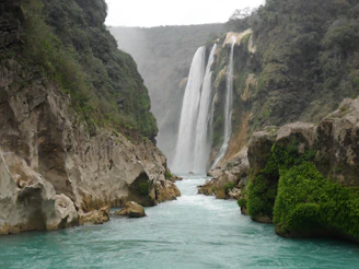 waterfalls between green trees during daytime