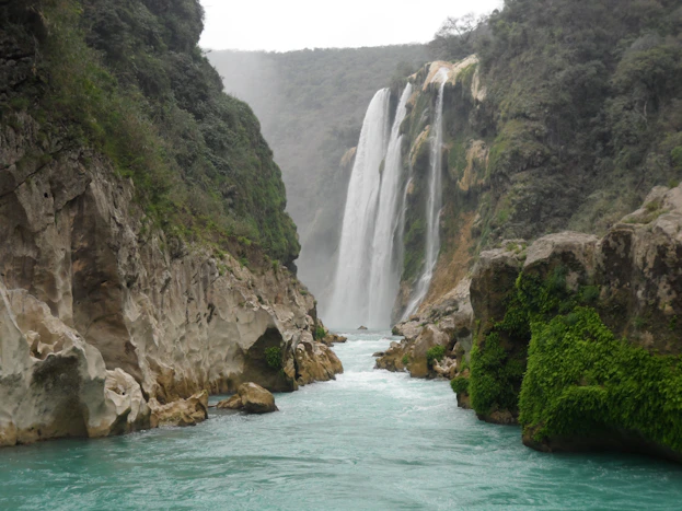 waterfalls between green trees during daytime