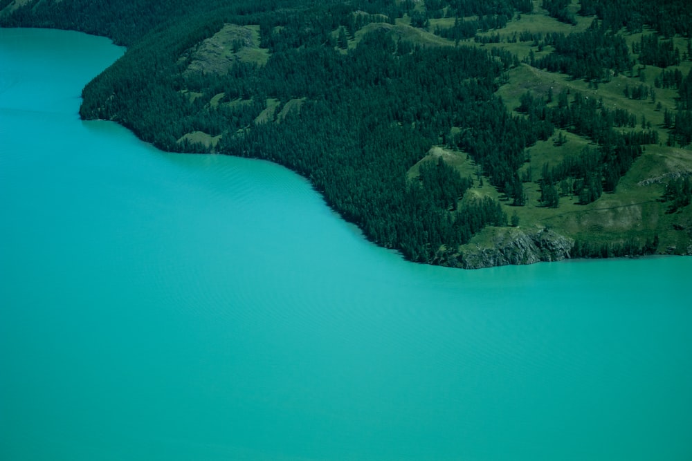 aerial view of green trees and lake
