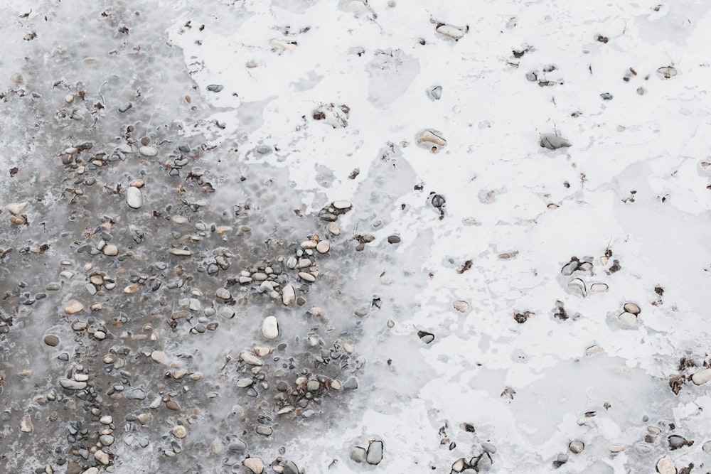 white and black stones on white sand