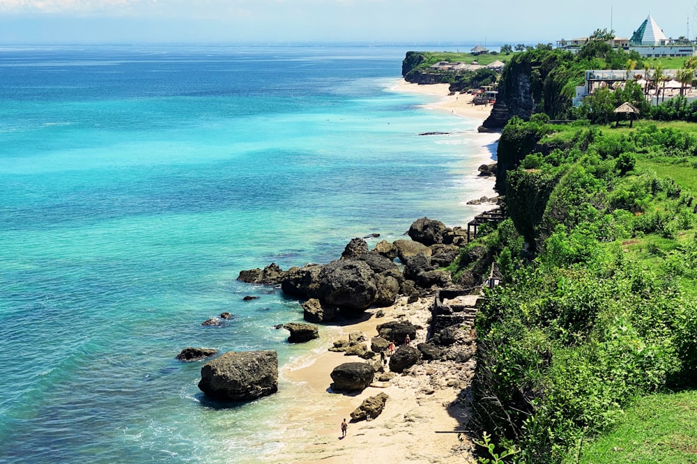 Costa rocosa marrón con plantas verdes y agua de mar azul durante el día