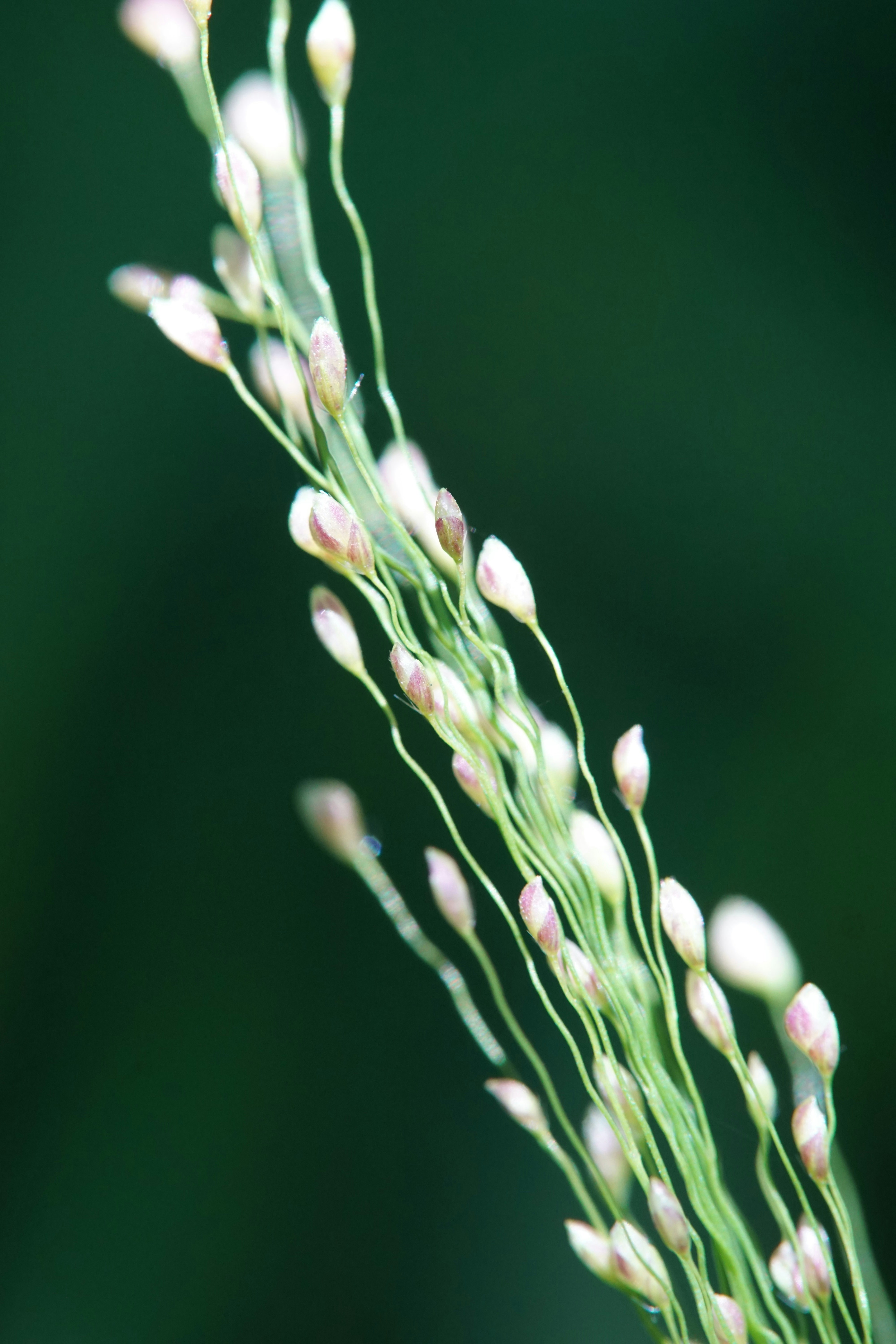 Photo by harbor_wildflowers