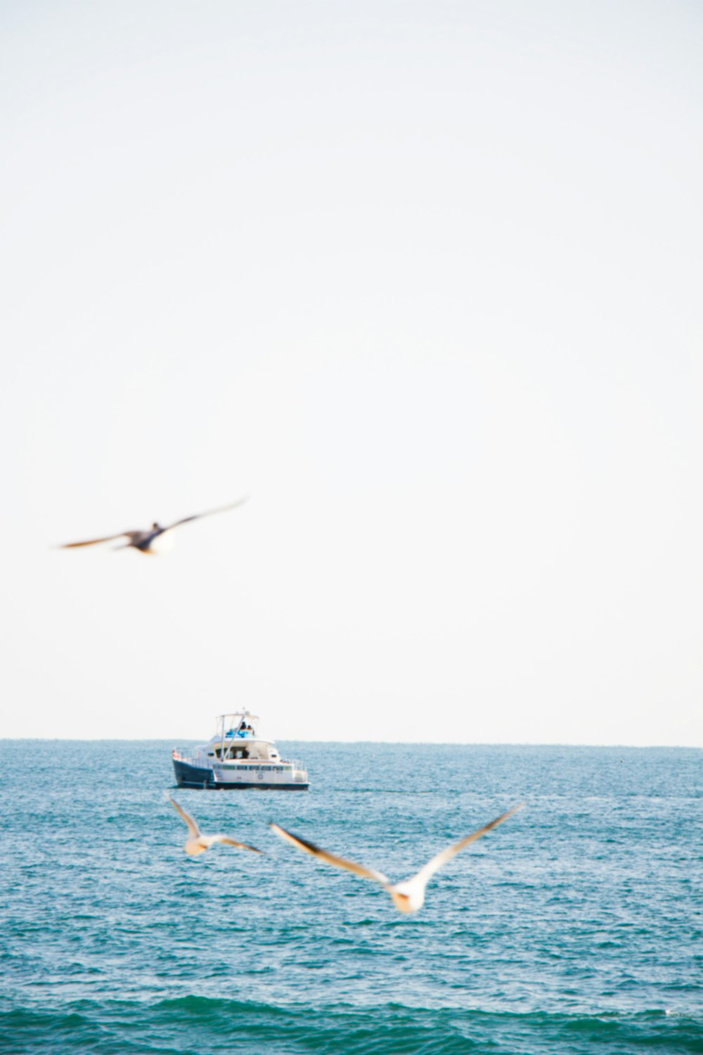 white and black yacht on sea during daytime