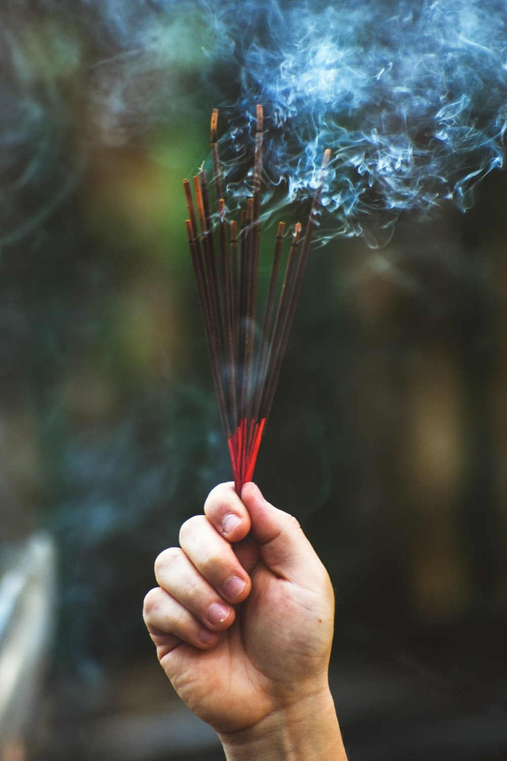 person holding white dandelion flower