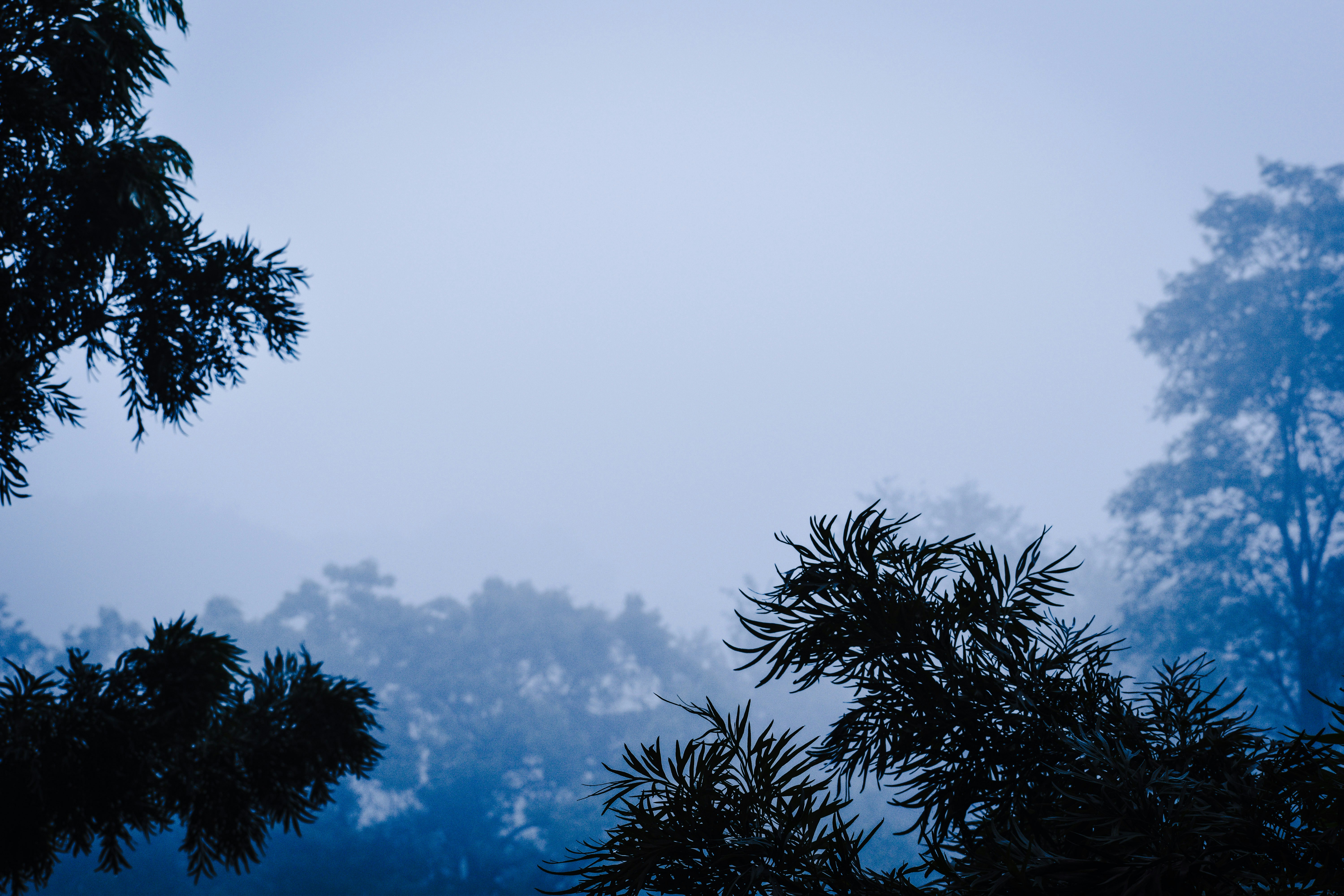 Photo by simplyhuman