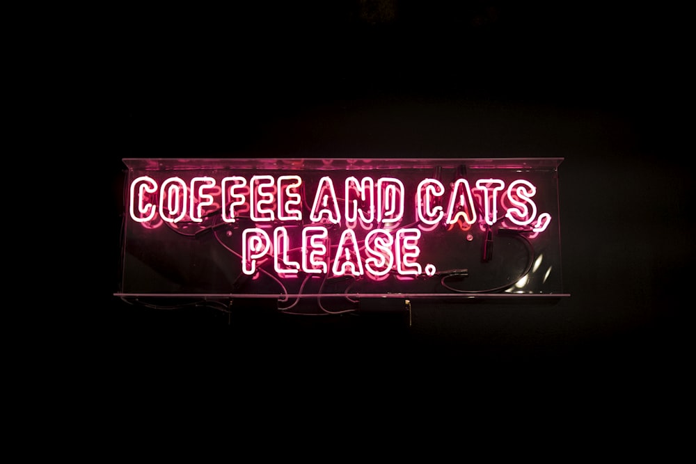 um letreiro de néon que diz café e gatos por favor