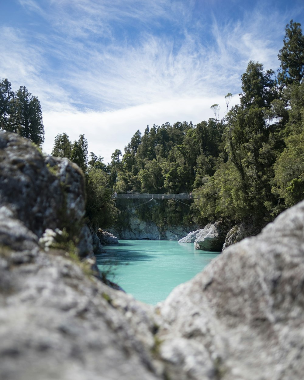 árvores verdes ao lado do rio sob o céu azul durante o dia