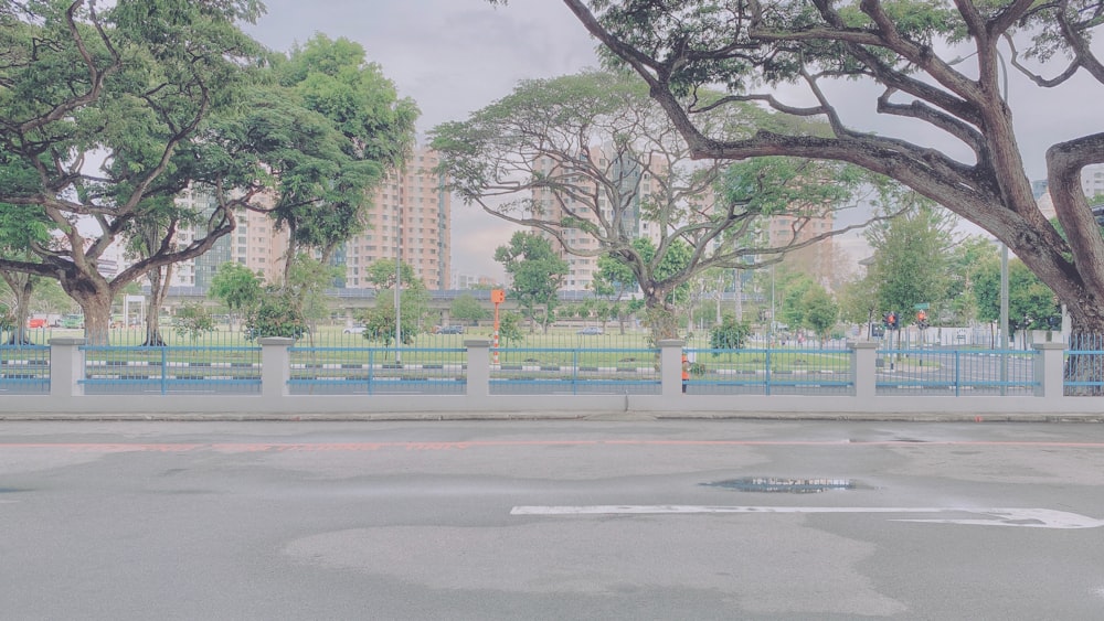 green trees near white concrete building during daytime