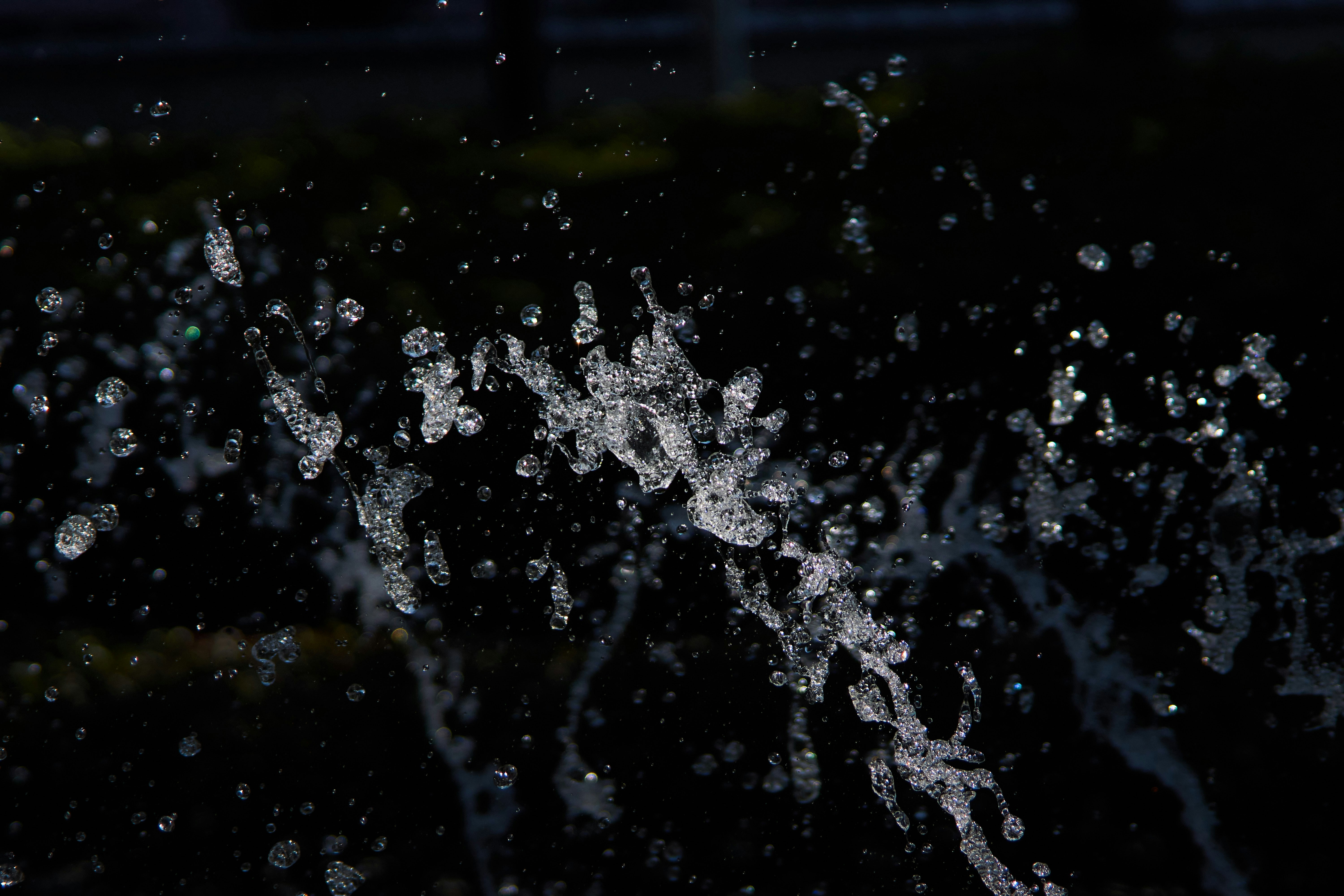 Photo by wolfgang_hasselmann