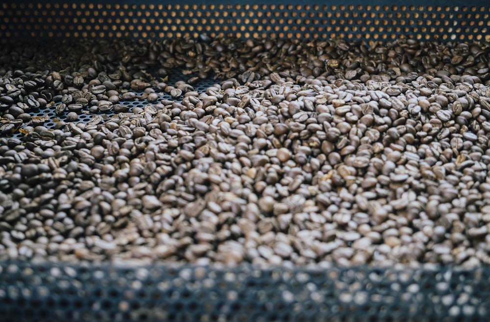 white and black pebbles on blue textile