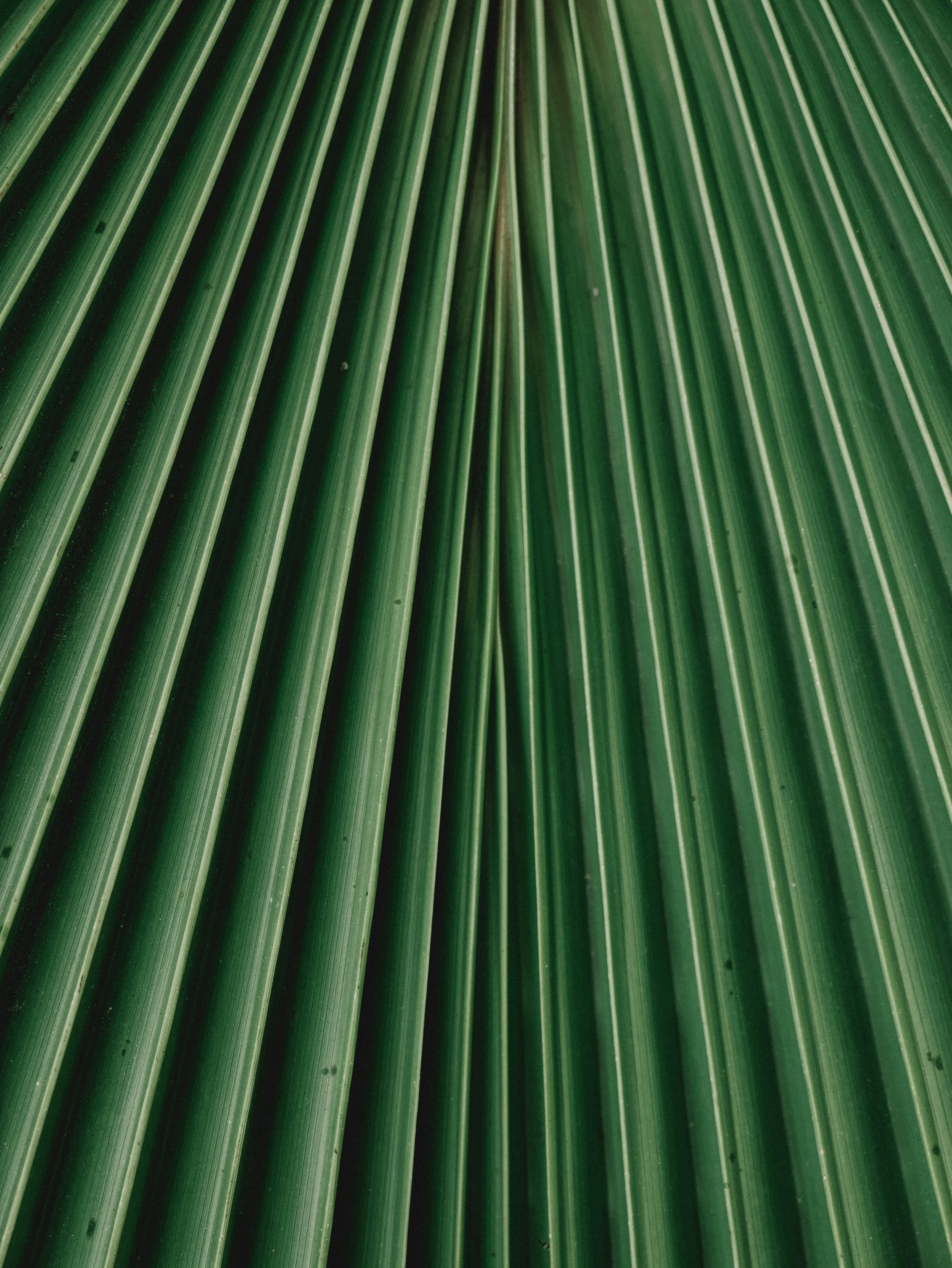 Photo by highlandmag