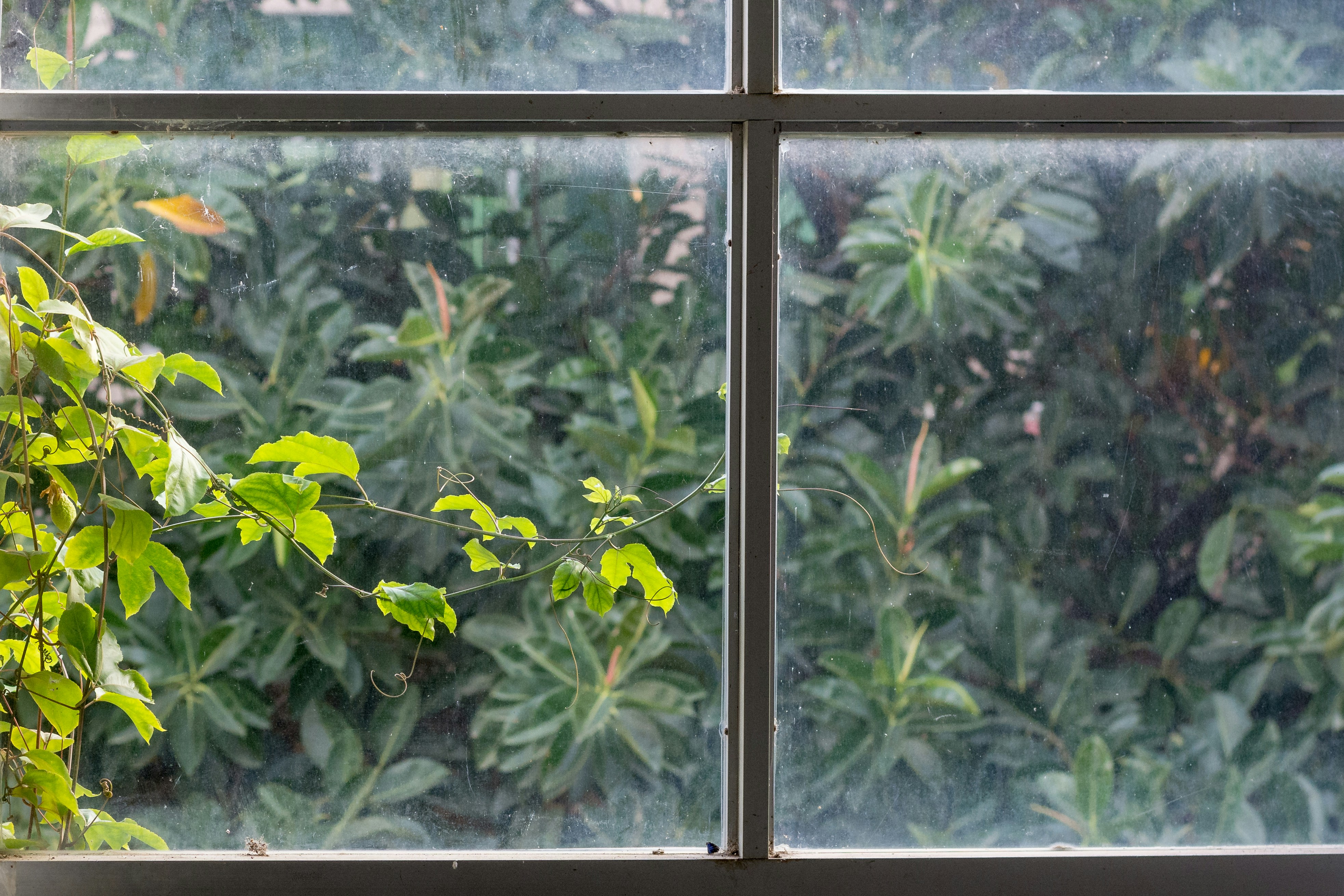 Photo by chinatractor