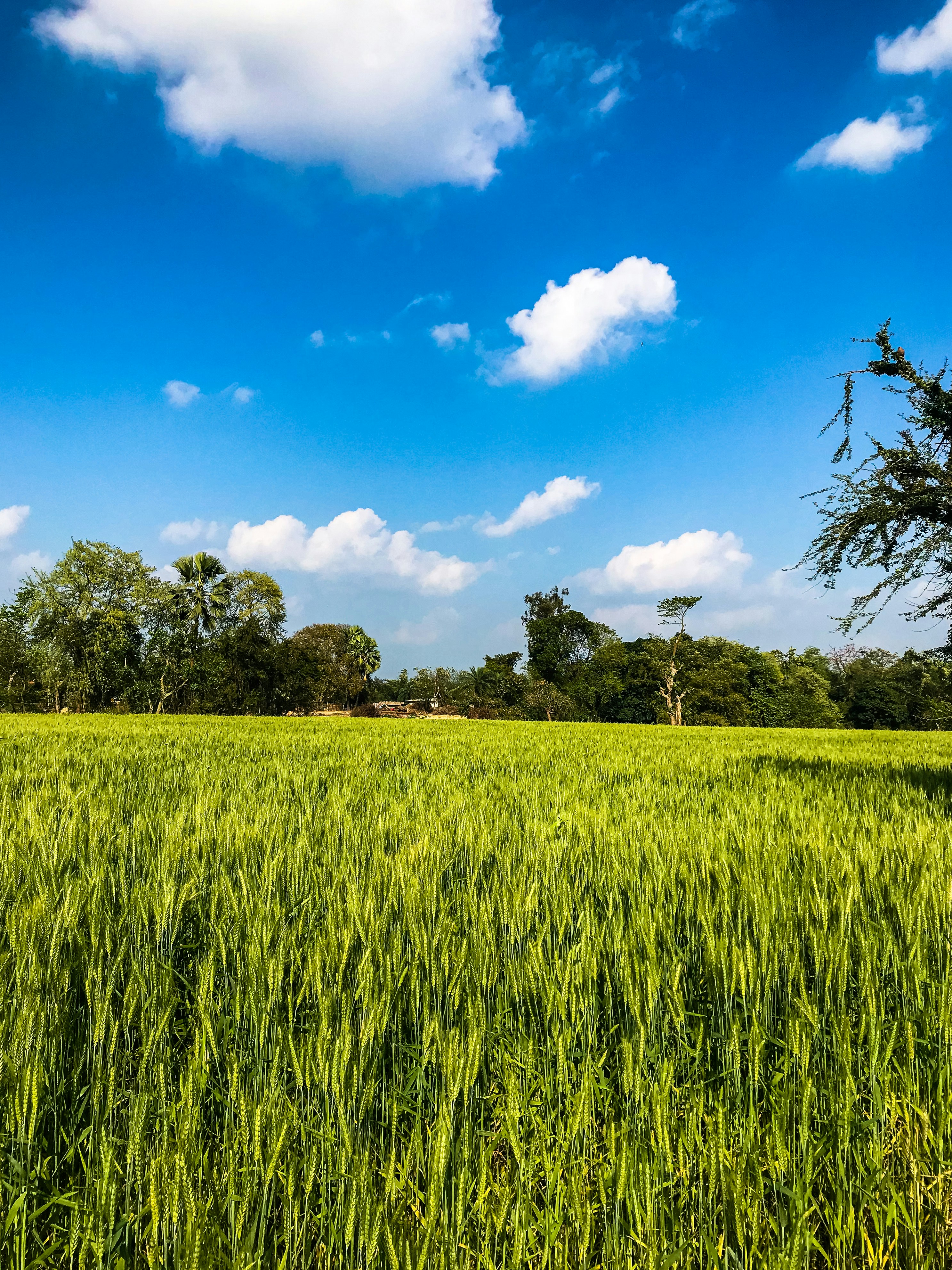 Photo by harahchauhan_me