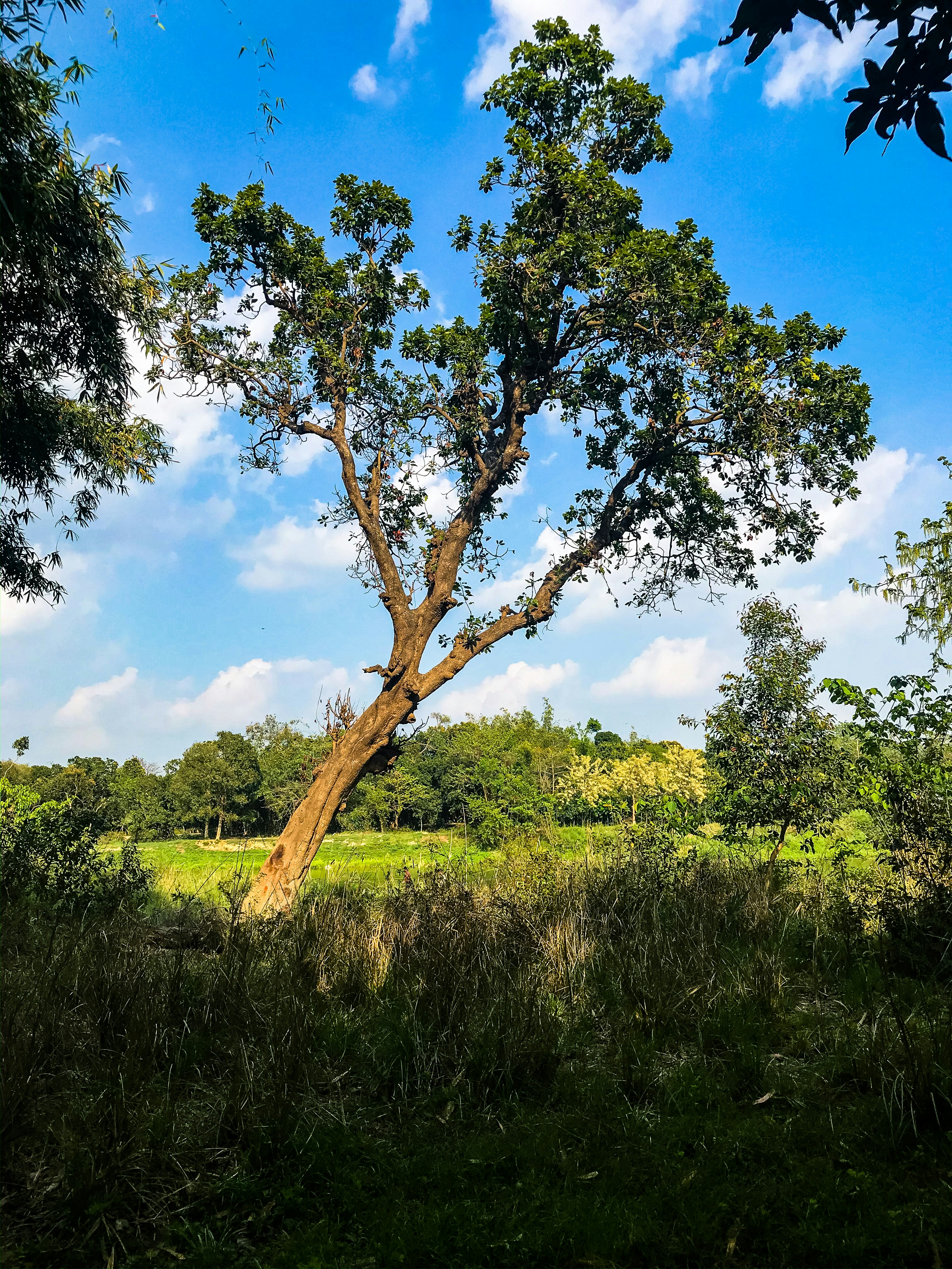 Photo by harahchauhan_me