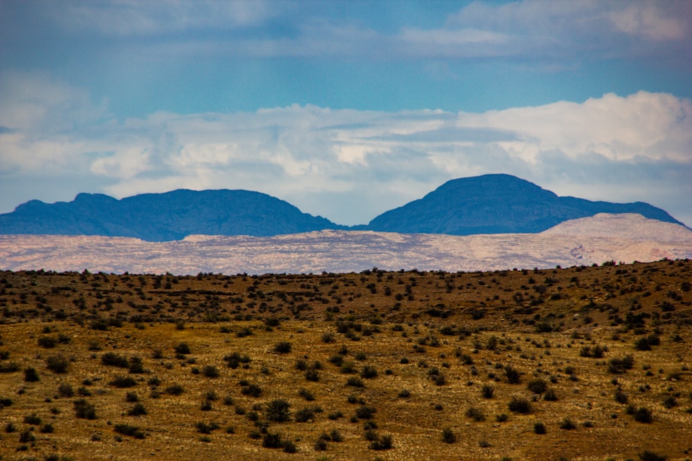 brown grass field near mountain during daytime