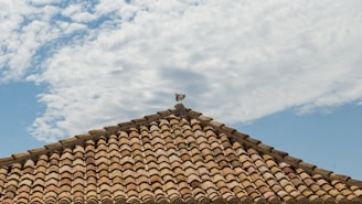 A rooftop covered with traditional terracotta tiles under a bright blue sky with scattered white clouds.
