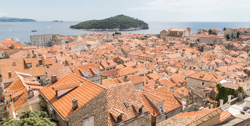 brown roof houses near body of water during daytime