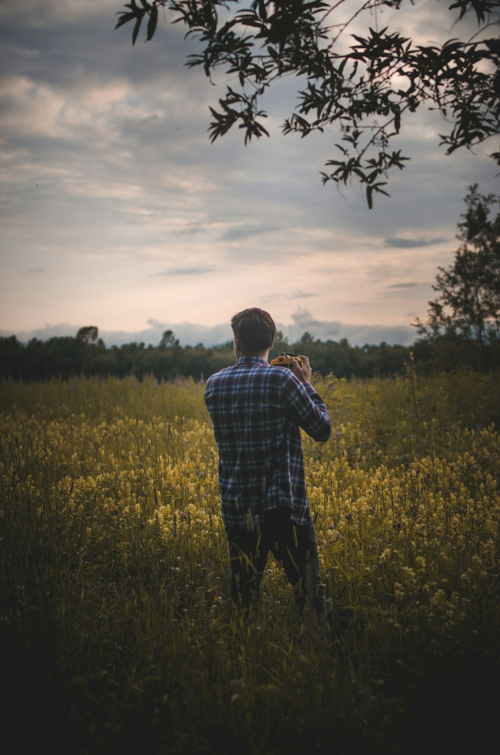 man in blue and white plaid dress shirt standing on green grass field during daytime