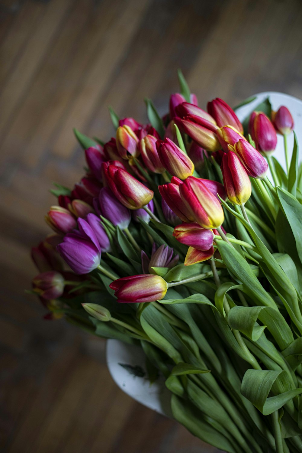 pink tulips in white ceramic vase