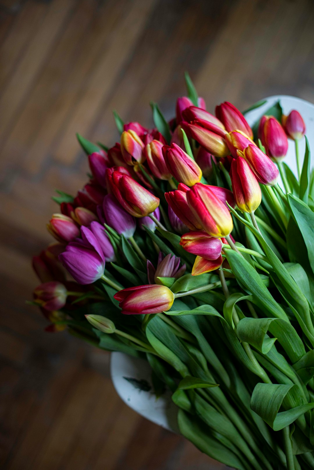 pink tulips in white ceramic vase