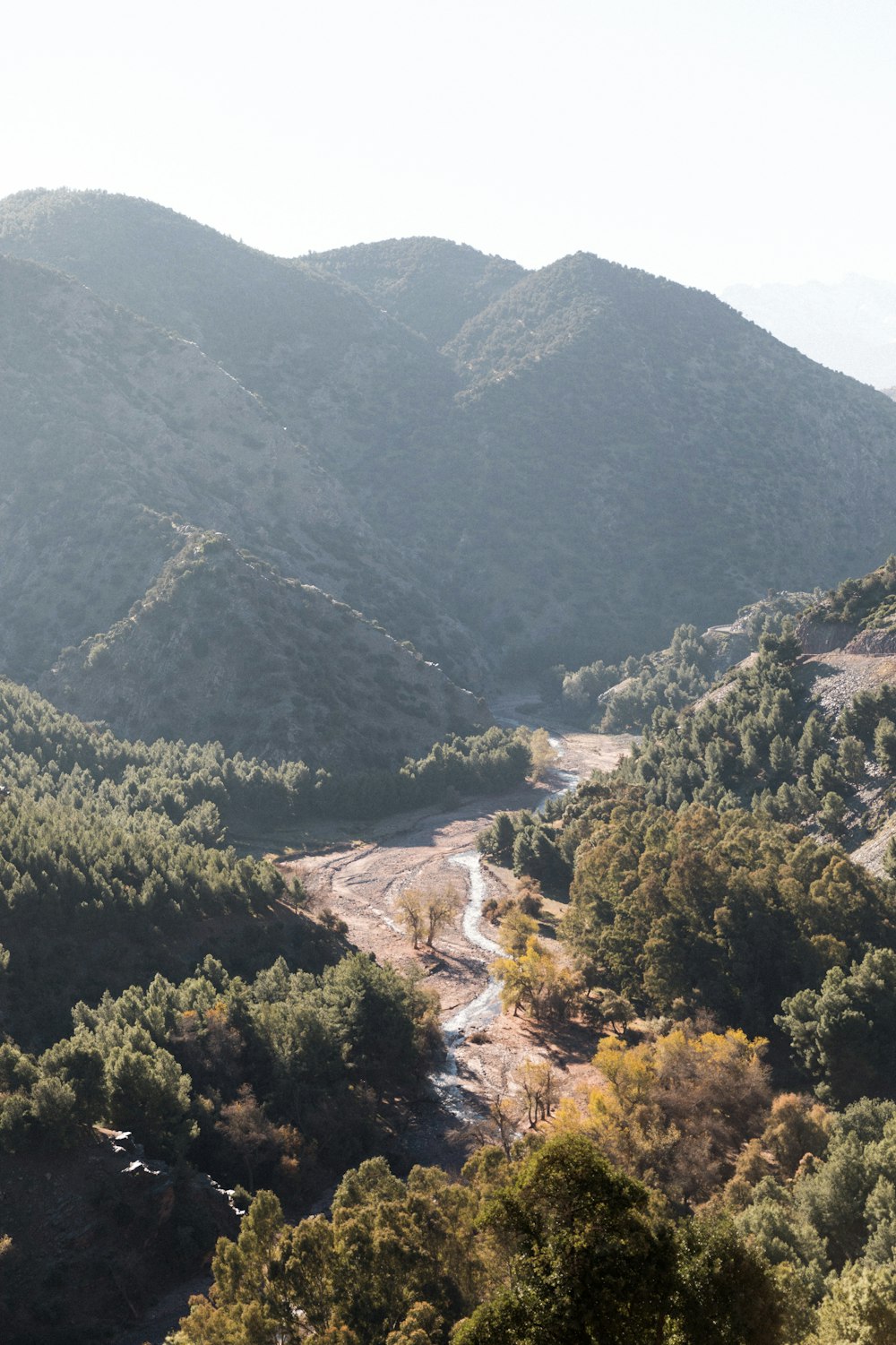 green trees on mountain during daytime