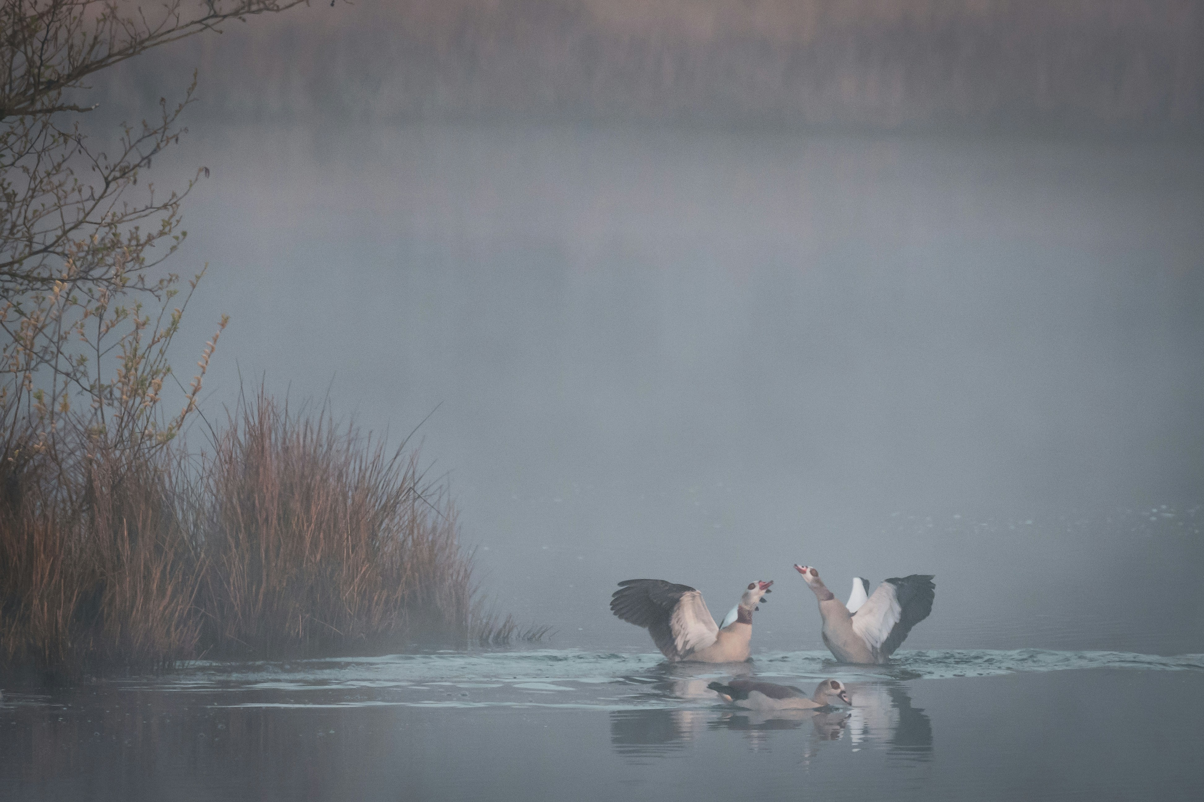 Photo by vincentvanzalinge