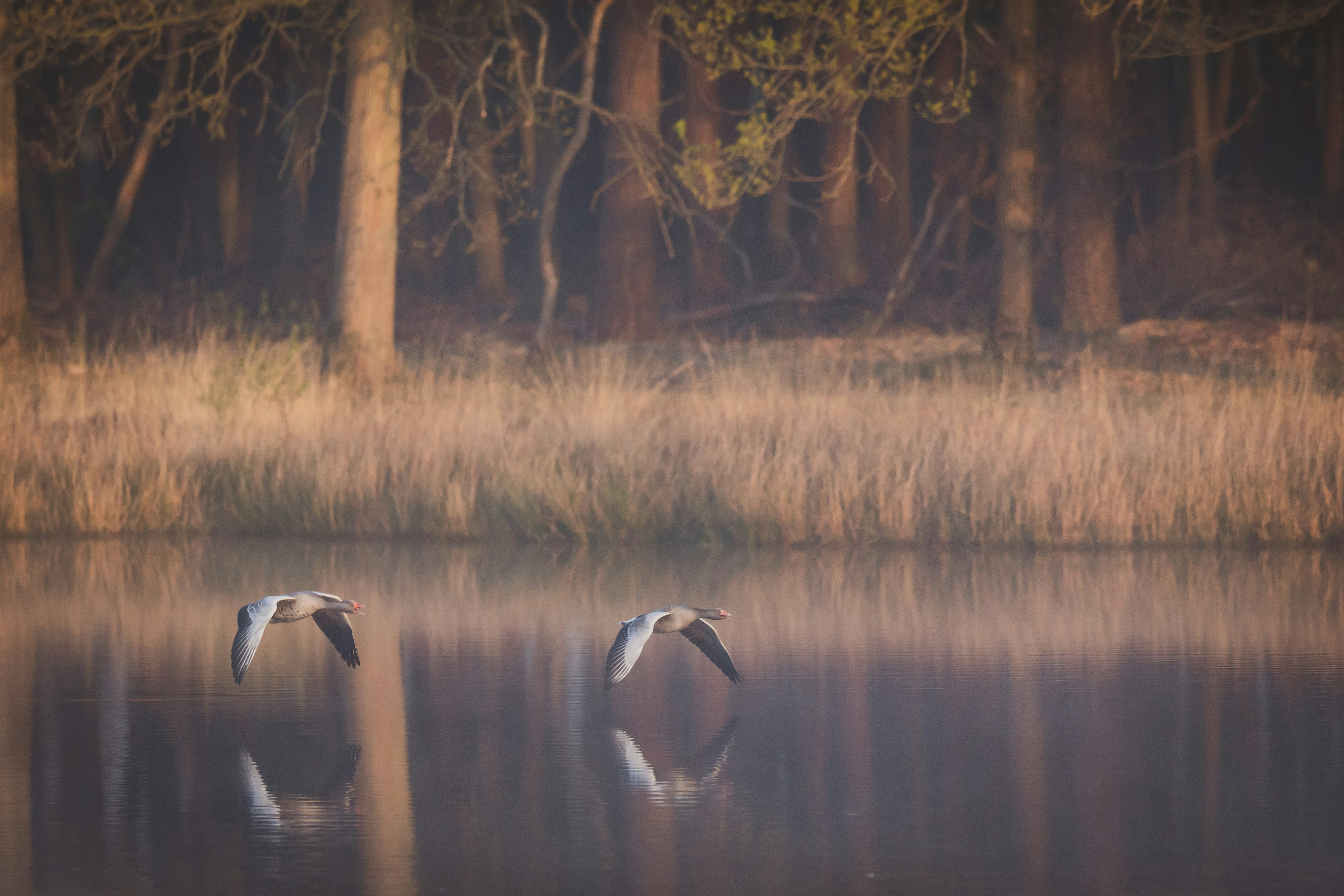 Photo by vincentvanzalinge