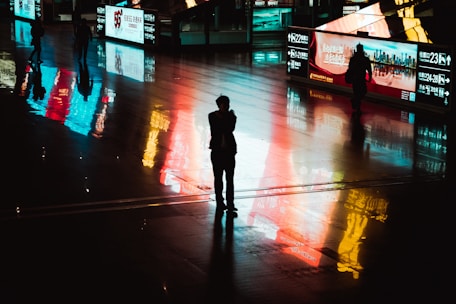 silhouette of person walking on sidewalk during night time
