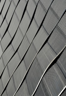 A pattern of curved, textured panels with a metallic appearance, showcasing an abstract architectural design. The panels are arranged in an overlapping, wave-like formation, creating a sense of depth and movement.