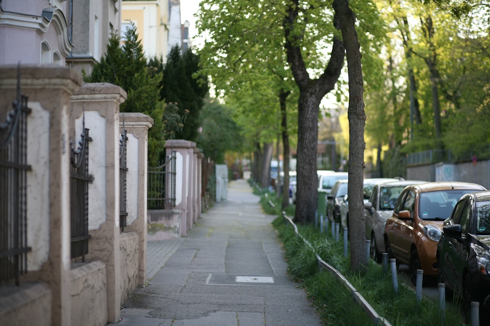 green trees beside white concrete building during daytime