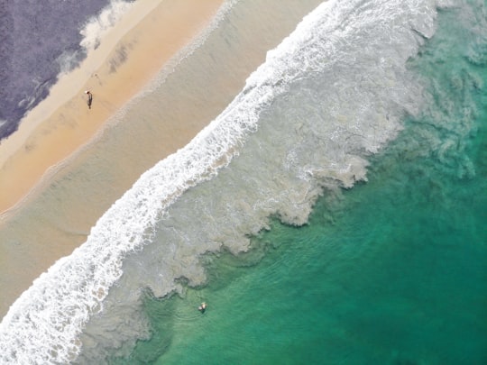 aerial view of beach during daytime in Varkala India