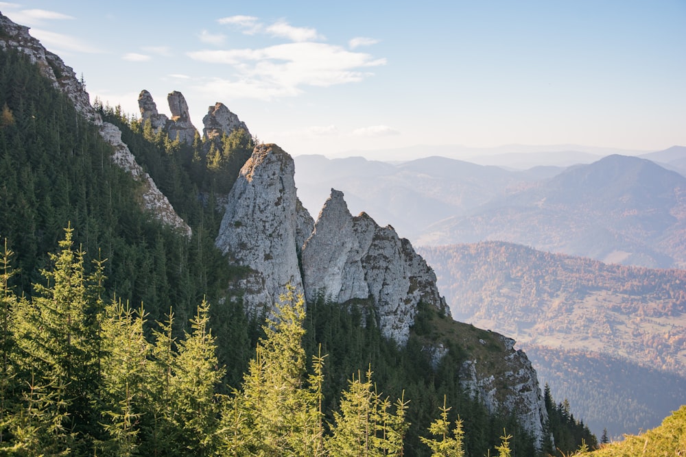 green trees near mountain during daytime