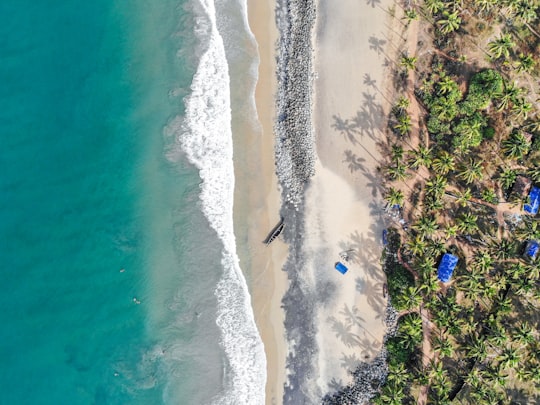 aerial view of beach during daytime in Varkala India