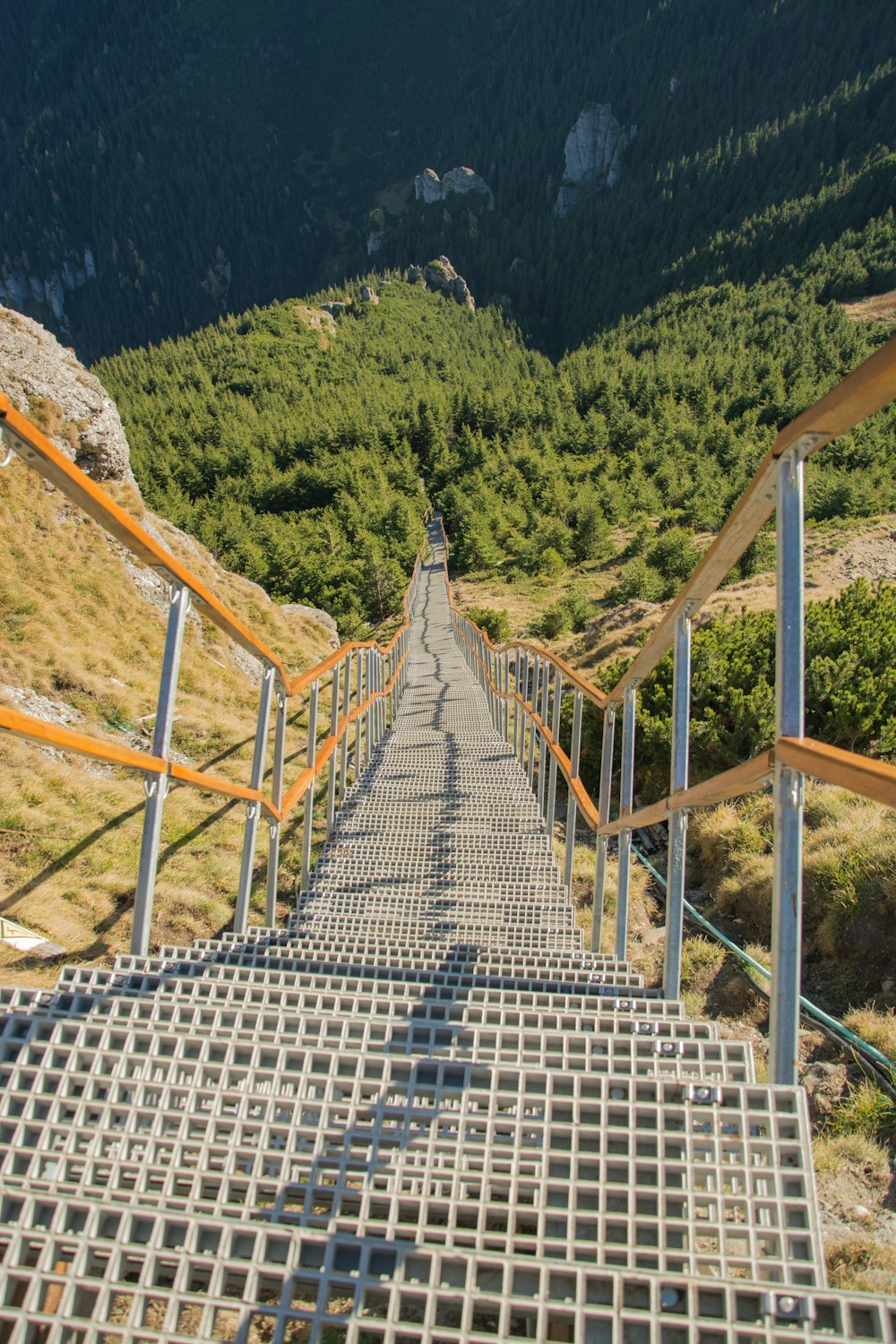 brown wooden bridge over green trees during daytime