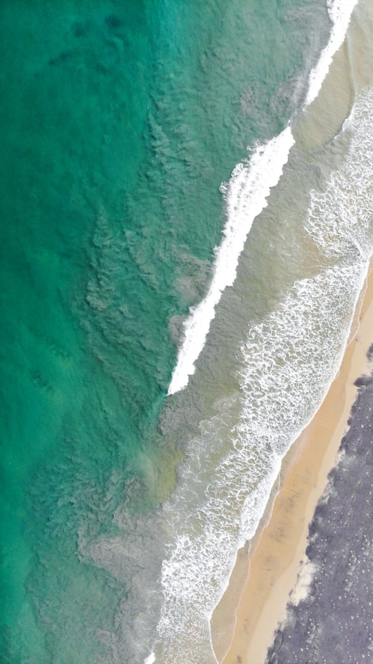 aerial view of ocean waves on shore during daytime in Varkala India