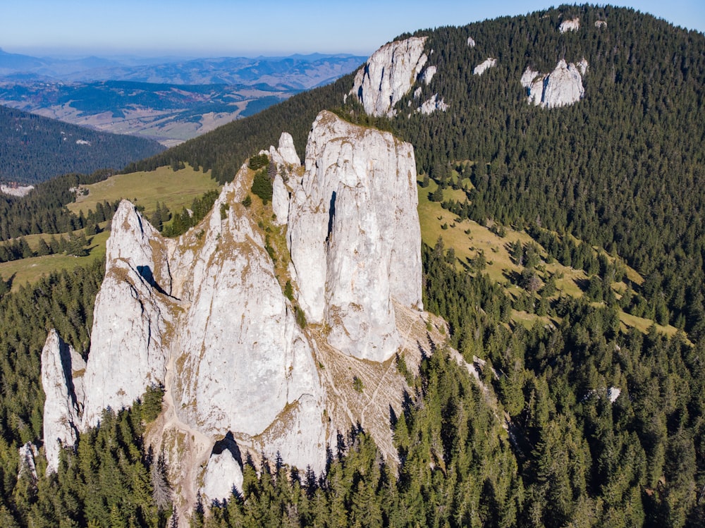 green trees on mountain under blue sky during daytime