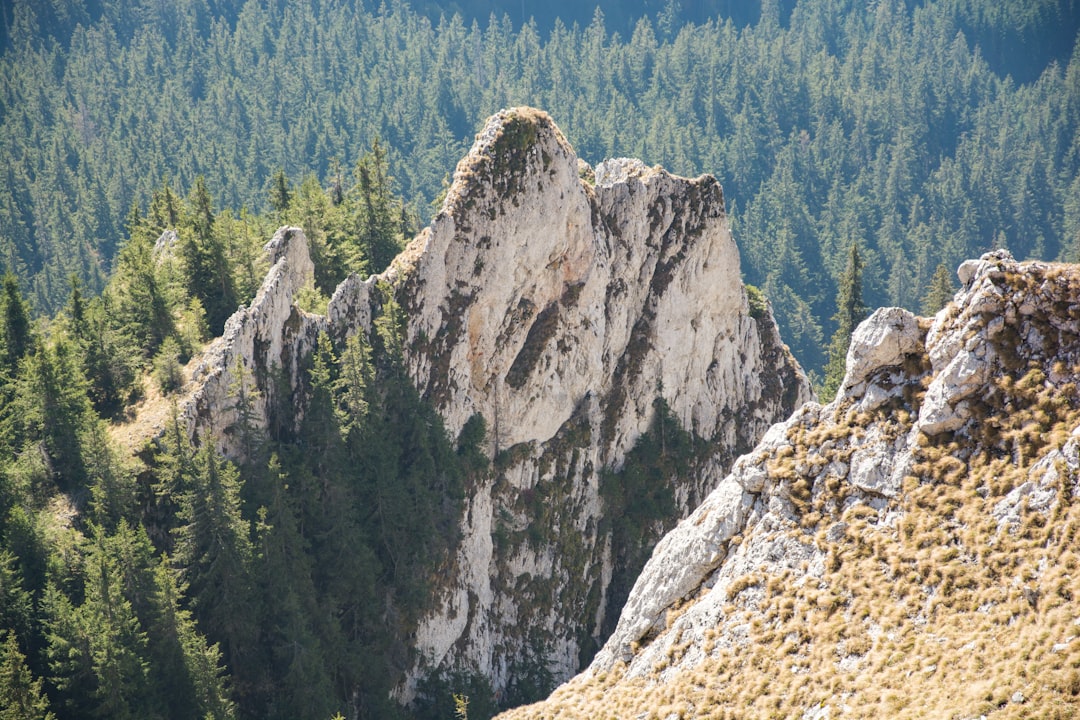 Mountain photo spot MunÈ›ii HÄƒÈ™maÈ™ Romania