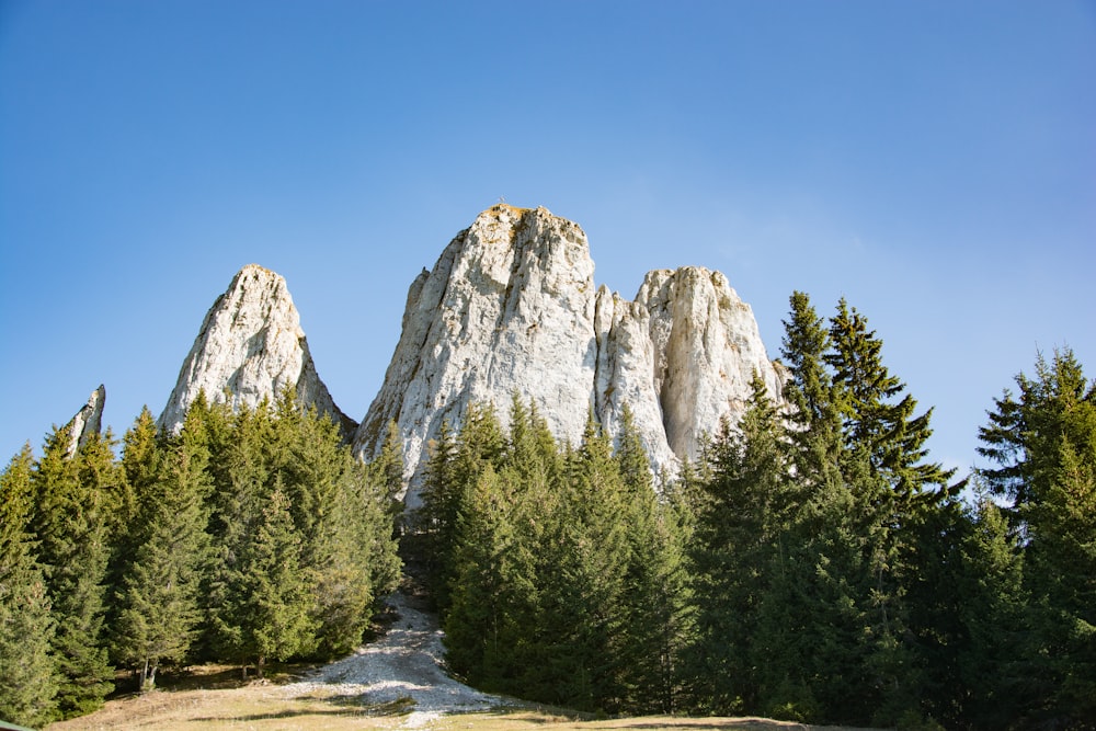 green pine trees near rocky mountain under blue sky during daytime