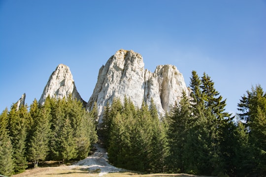 Piatra Singuratică things to do in Bicaz Canyon